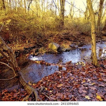Small Stream in Fall, Montgomery County, Pennsylvania Royalty-Free Stock Photo #2411096465