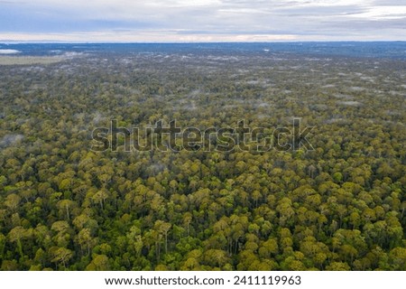Aerial view of the Borneo rainforest at Klias Forest Reserve, Beaufort Sabah.
