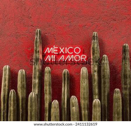 Mexico mi amor lettering street wall decoration in red colors with green beautiful cactus Royalty-Free Stock Photo #2411132619