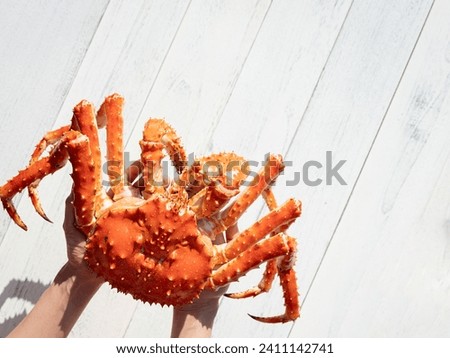 King crab on hand, King crab  Royalty-Free Stock Photo #2411142741