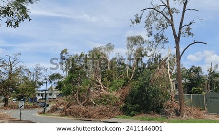 Storm damage to Trees, roadside vegetation, parks and residential areas, waiting cleaning up after severe storms, Gold Coast, Queensland, Australia Royalty-Free Stock Photo #2411146001