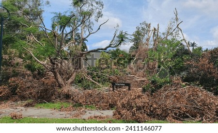 Storm damage to Trees, roadside vegetation, parks and residential areas, waiting cleaning up after severe storms, Gold Coast, Queensland, Australia Royalty-Free Stock Photo #2411146077