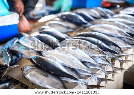 A Fresh Catch Display at Sabah Fishing Market Royalty-Free Stock Photo #2411201315