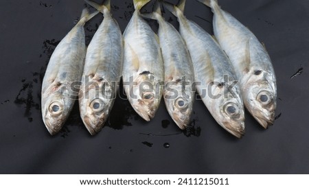 this is a picture of fresh fish