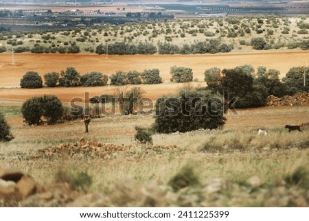 Spanish landscape with a hunter and dogs Royalty-Free Stock Photo #2411225399