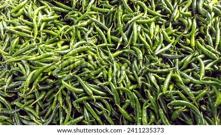 The green chili harvest is large and ready to be marketed