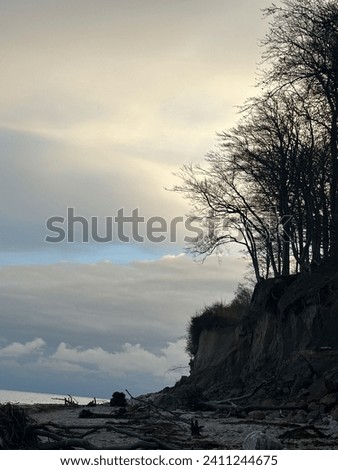 a cliffside beach view on a cloudy day