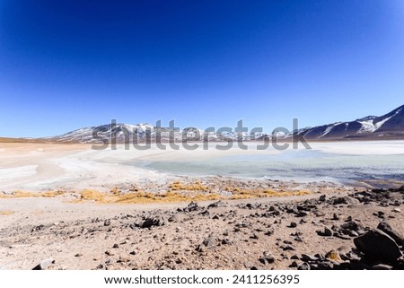 Laguna Blanca landscape,Bolivia. Beautiful bolivian panorama.White lagoon and Licancabur volcano Royalty-Free Stock Photo #2411256395