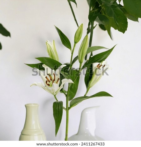 a flower with green leaves on a stem on a pale, light green vase, with a lush, green garden in the background