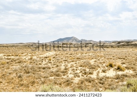 landscape with wheat field and blue sky, photo as a background, digital image