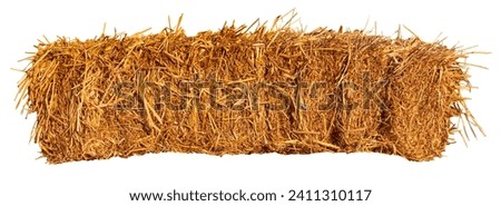 Golden yellow haystackm, barley straw cut isolated on transparent background cutout path