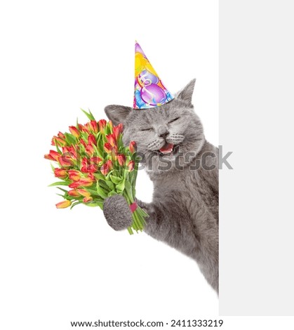 Happy cat wearing party cap holds bouquet of tulips and looks from behind empty white banner. Isolated on white background