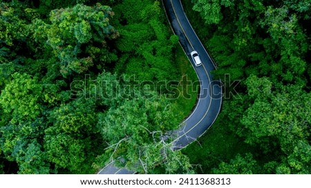 Aerial top view road in forest with car motion. Winding road through the forest. Car drive on the road between green forest. Ecosystem ecology healthy environment road trip. Holiday and Travel.