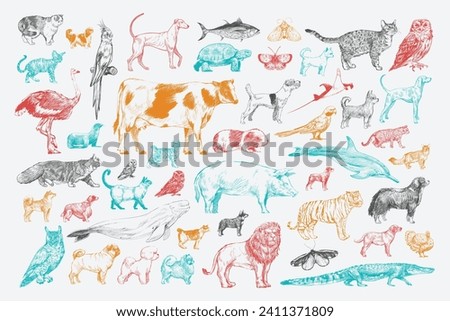Vector set collection of outline hand drawn sketch animals isolated on white background