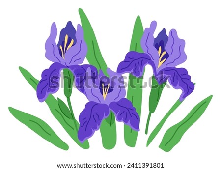 Spring flower vector illustration. The flowered landscape evoked sense joy and wonder in spring The botanical garden exhibited array springtime flora The bloomy atmosphere created by spring flowers Royalty-Free Stock Photo #2411391801