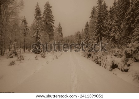 Follow the road to winter wonderland 