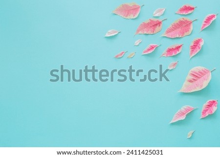 pink leaves on blue paper background