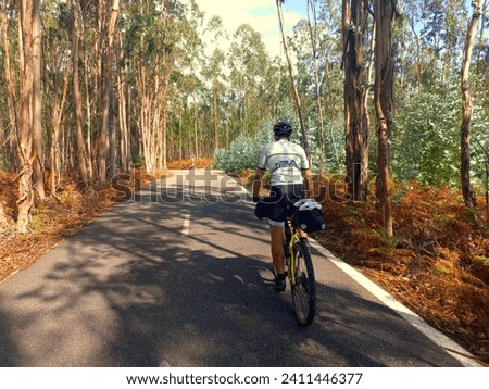 A boy rides a mountain bike along a road through a forest on a bike packing adventure