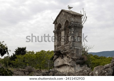 Seagull Sitting on top of Bell Cote of Ruins of ancient Monastery of Saint Marry of the Angels in Croatian town of Osor, Cres Island Royalty-Free Stock Photo #2411452933