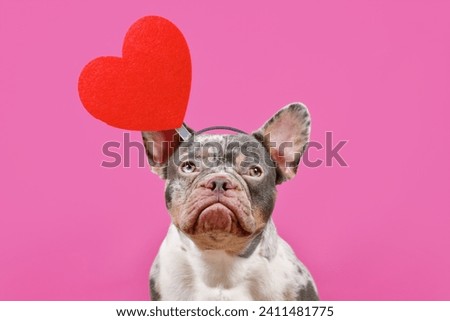 French Bulldog dog wearing Valentine's Day headband with big red heart on pink background