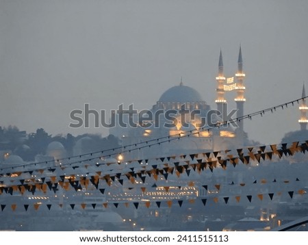 View of one of the many mosques in beautiful Istanbul.