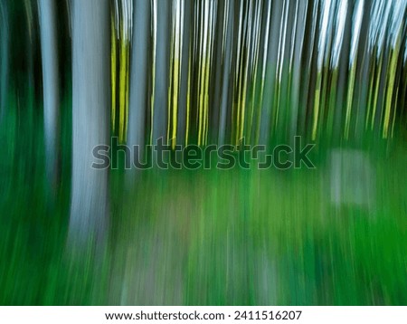 Experimental photography with long exposure and camera movement in the forest.
