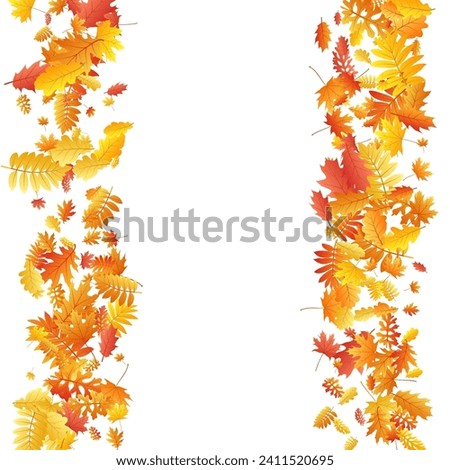 Oak, maple, wild ash rowan leaves vector, autumn foliage on white background. Red orange gold rowan and oak autumn leaves. Rich tree foliage october background graphics.