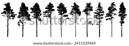 Pine trees silhouette isolated, set. Coniferous forest. Vector illustration. Royalty-Free Stock Photo #2411529969