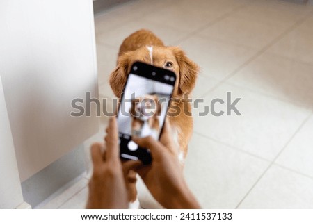 Woman taking a photo of her dog with smartphone
