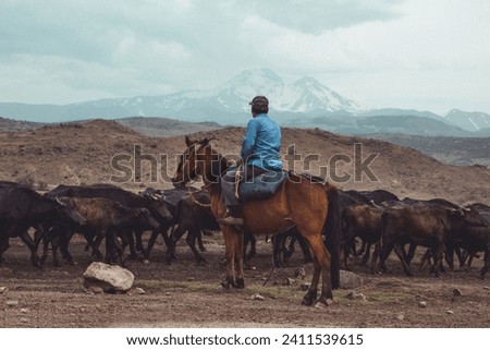 View of man riding a horse and herd of buffalo