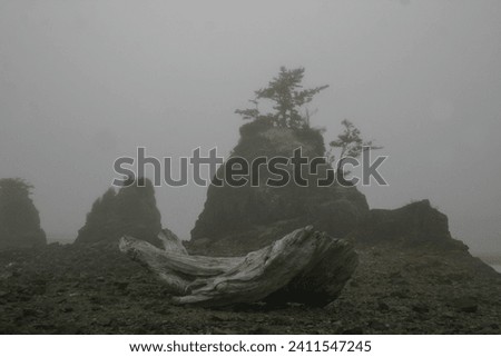 cool dreary mist on oregon's pacific ocean coastline Royalty-Free Stock Photo #2411547245