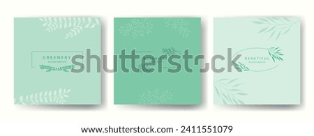 Vector aesthetic set of botanical covers with frames silhouettes branches and leaves. Delicate design for covers, packaging, cosmetics, floristry, cards, wedding disign Royalty-Free Stock Photo #2411551079