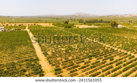 Crete senesi, characteristic landscape in province of at summer. Royalty-Free Stock Photo #2411561055