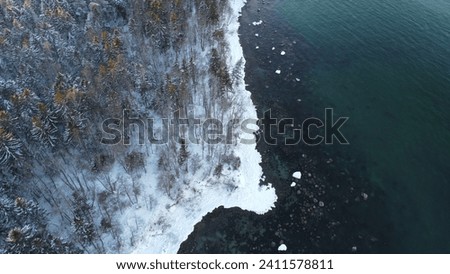 Aerial picture of coniferous forest in a seashore after snowfall on sunset