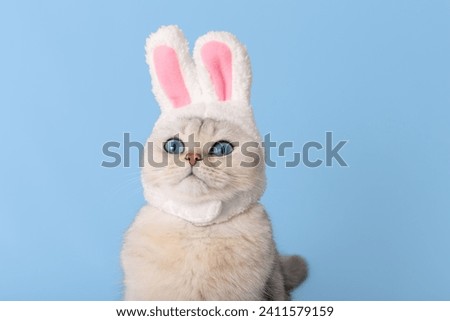 white cat in hat with bunny ears on blue background