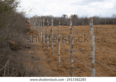 side view of an agriculture fence