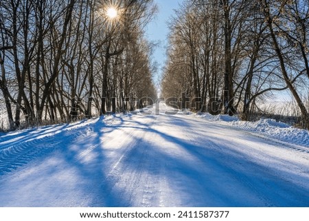 Covered with snow road  through the trees with sun ray.