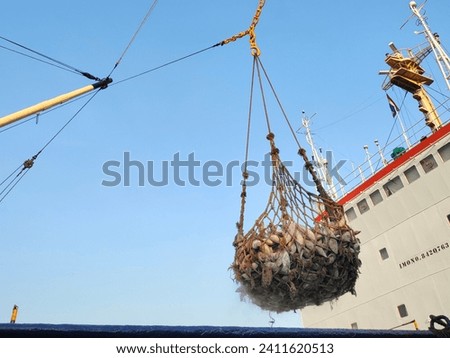 Transshipment mixed frozen Yellowfin and Skipjack tuna hang in large net, During loading and unloading from the ship hatch to factory in port area and import, export and transport cargo concept Royalty-Free Stock Photo #2411620513