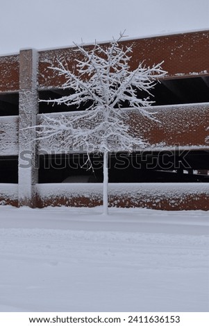 Snow covered tree brick background