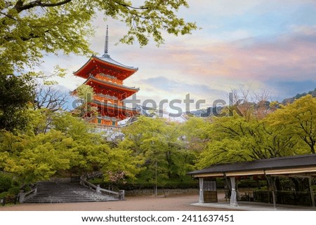 Kiyomizu-dera temple in Kyoto, Japan with beauiful full bloom sakura cherry blossom in spring Royalty-Free Stock Photo #2411637451