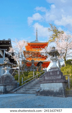 Kiyomizu-dera temple in Kyoto, Japan with beauiful full bloom sakura cherry blossom in spring Royalty-Free Stock Photo #2411637457