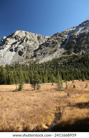 Custer Gallatin National Forest, Beartooth Mountains, Montana Royalty-Free Stock Photo #2411668959
