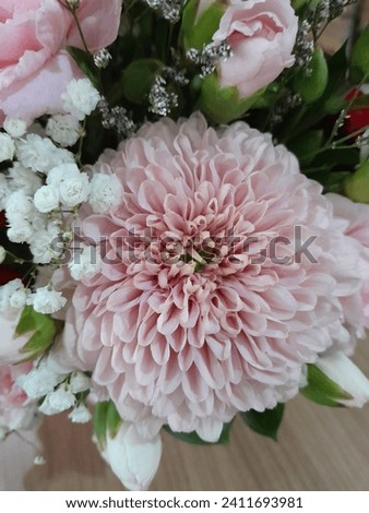 Photo of red and pink roses. Perfect for magazines, tabloids and newspapers