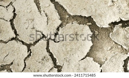 the ground cracks during the prolonged dry season