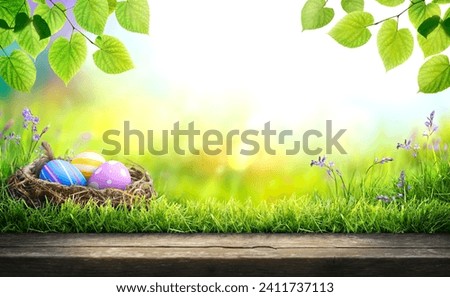 Three painted easter eggs in a birds nest celebrating a Happy Easter in spring with a green grass meadow, tree leaves and bright sunlight background with copy space  wooden bench to display products Royalty-Free Stock Photo #2411737113