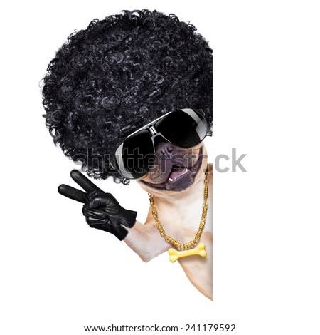 cool gangster french bulldog dog with peace and victory fingers, isolated on white background