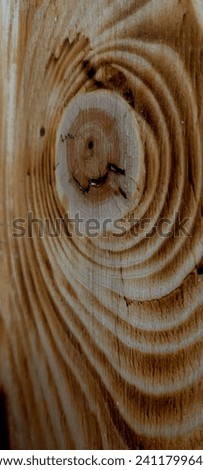 I took this photograph of a trunk bark. The grain details are fantastic.
An abstract photograph ideal to use as a wallpaper.