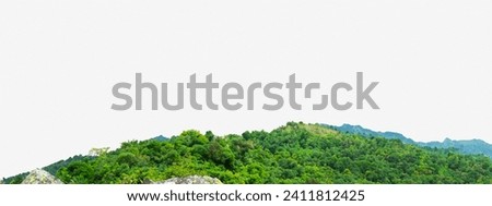 Green forest with mountain nature landscape, panorama nature isolated on white background.