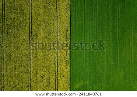 Two fields next to each other with different colors seen from above