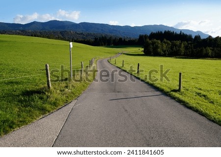 a sunlit road leading through the picturesque Bavarian countryside of the Steingaden region in the Bavarian Alps, Allgaeu, Bavaria, Germany	
                                Royalty-Free Stock Photo #2411841605